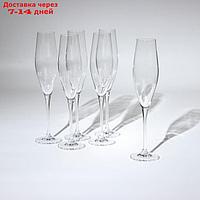 Набор бокалов для шампанского "LOXIA", стеклянный, 210 мл, набор 6 шт