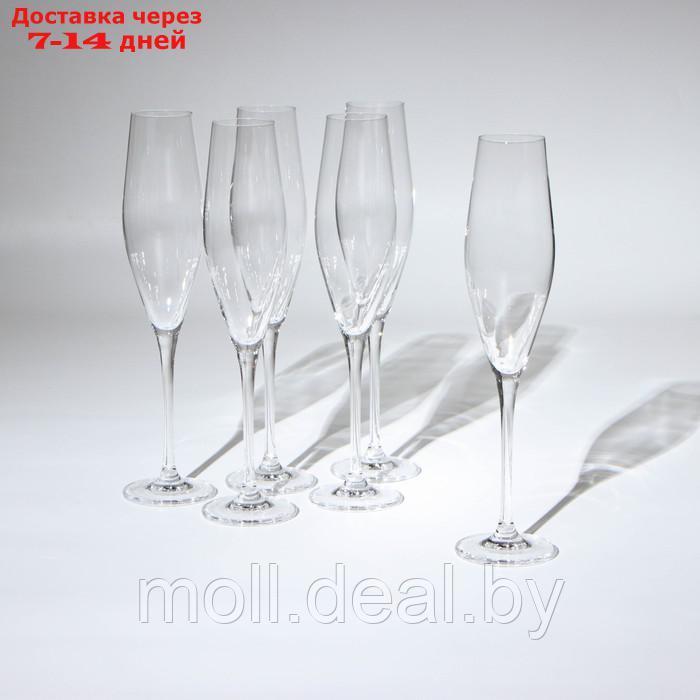 Набор бокалов для шампанского "LOXIA", стеклянный, 210 мл, набор 6 шт - фото 1 - id-p227106204