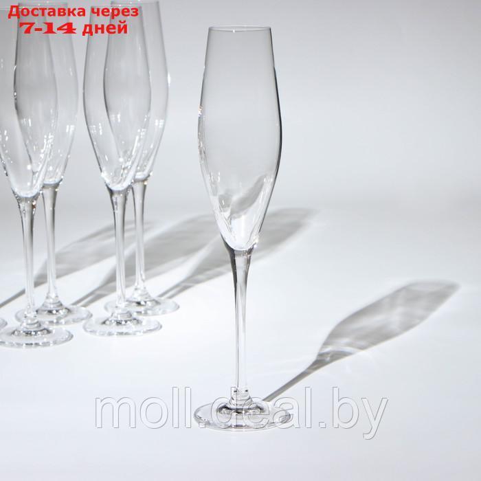 Набор бокалов для шампанского "LOXIA", стеклянный, 210 мл, набор 6 шт - фото 2 - id-p227106204