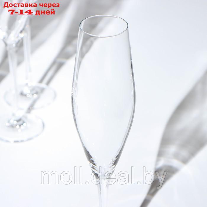 Набор бокалов для шампанского "LOXIA", стеклянный, 210 мл, набор 6 шт - фото 3 - id-p227106204