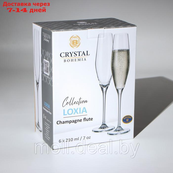 Набор бокалов для шампанского "LOXIA", стеклянный, 210 мл, набор 6 шт - фото 4 - id-p227106204