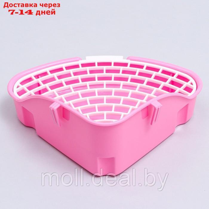 Туалет угловой для кроликов и хорьков Carno, 24 х 18 х 11 см, розовый - фото 4 - id-p227120846