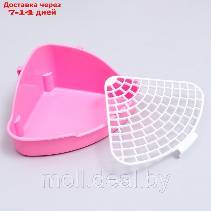 Туалет угловой для кроликов и хорьков Carno, 24 х 18 х 11 см, розовый - фото 5 - id-p227120846