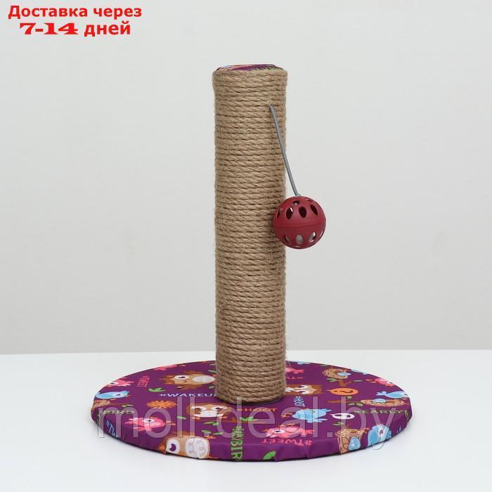 Когтеточка-столбик "Пижон" с шариком, 29 х 29 х 32см, джут, ткань ПВХ, фиолетовая - фото 2 - id-p227110296