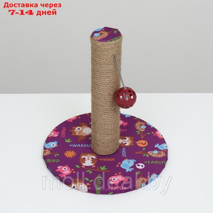 Когтеточка-столбик "Пижон" с шариком, 29 х 29 х 32см, джут, ткань ПВХ, фиолетовая - фото 3 - id-p227110296
