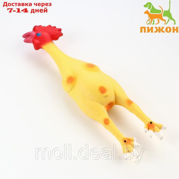 Игрушка пищащая для собак из латекса "Петух", 41 см, светло-жёлтая/красная