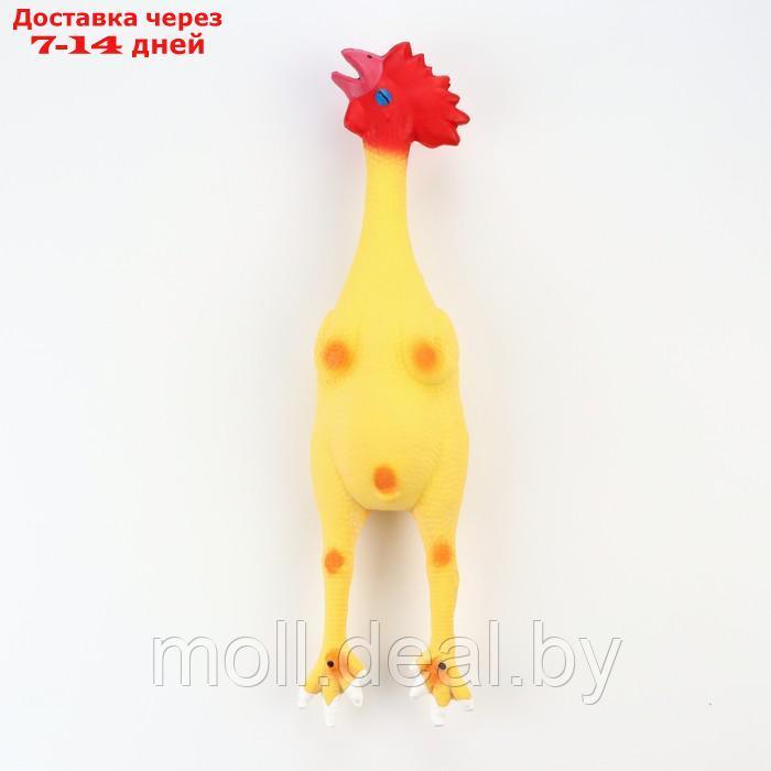 Игрушка пищащая для собак из латекса "Петух", 41 см, светло-жёлтая/красная - фото 2 - id-p227120847