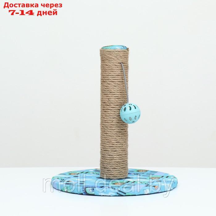Когтеточка-столбик "Пижон" с шариком, 29 х 29 х 32см, джут, ткань ПВХ, бирюзовая - фото 2 - id-p227110300