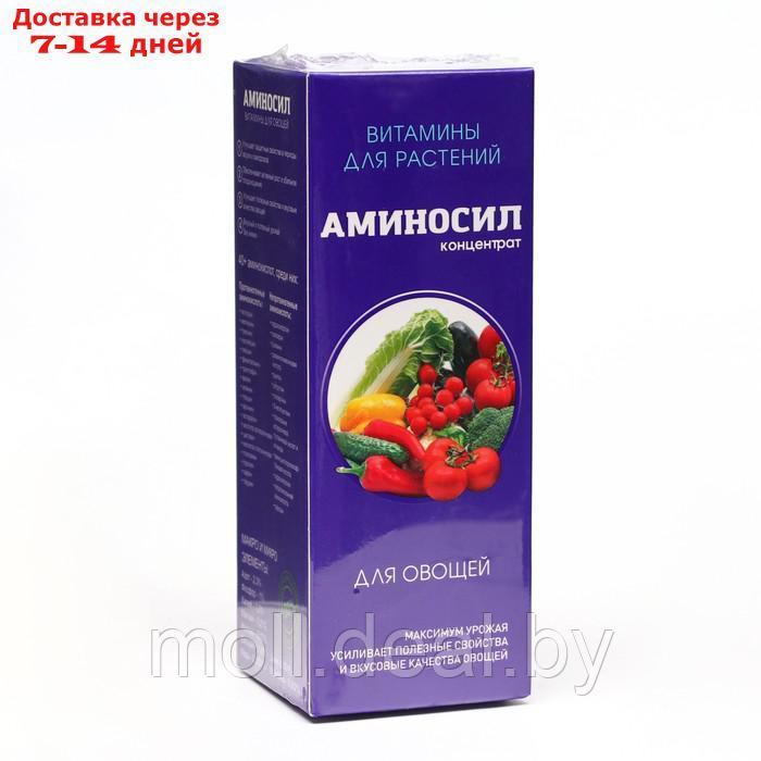 Удобрение жидкое Аминосил для овощей, 250 мл - фото 1 - id-p227110307