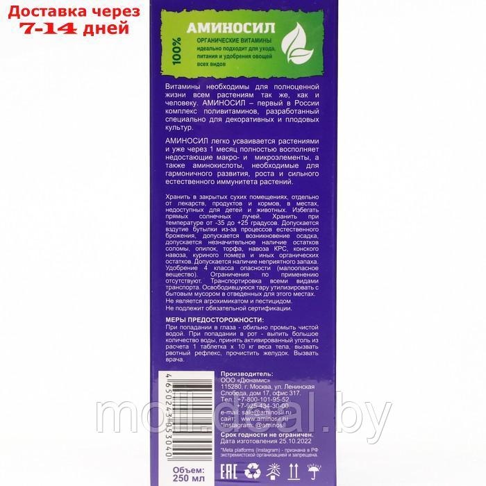 Удобрение жидкое Аминосил для овощей, 250 мл - фото 2 - id-p227110307