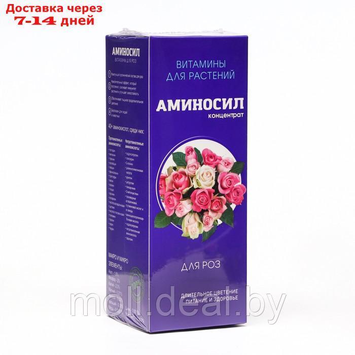 Удобрение жидкое Аминосил для роз, 250 мл - фото 1 - id-p227110315