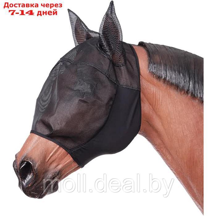 Маскитная маска для лошади - фото 1 - id-p227112399