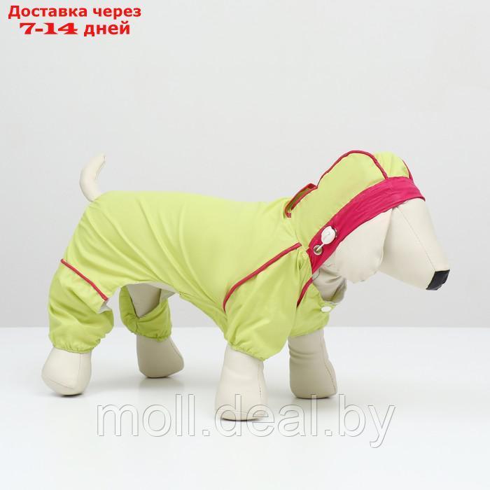 Комбинезон для собак, демисезонный с сумкой, размер 2ХL (ДС 41, Ог 53, ОШ 36 см), салатовый 938121 - фото 3 - id-p227108157