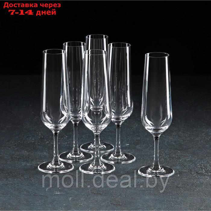Набор бокалов для шампанского Apus, 210 мл, 6 шт - фото 1 - id-p227112420