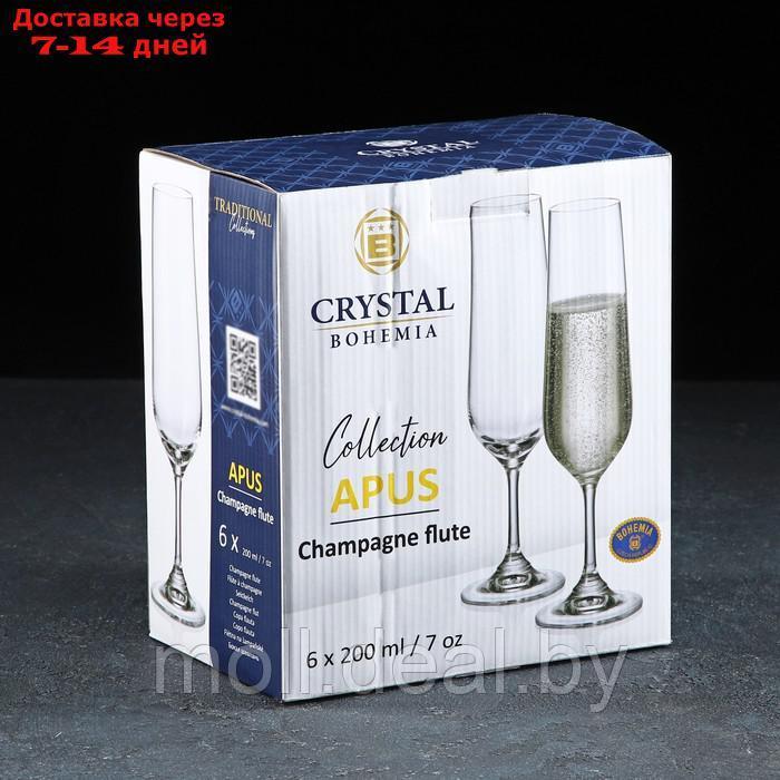 Набор бокалов для шампанского Apus, 210 мл, 6 шт - фото 2 - id-p227112420