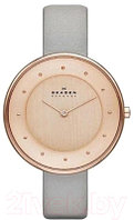 Часы наручные женские Skagen SKW2139