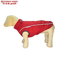 Жилет Osso "Аляска" для собак, размер 55-2 (ДС 50-55, ОШ 66, ОГ 76-90), красный