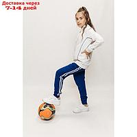 Костюм спортивный для девочек Isee, рост 128-134 см, цвет серый, синий