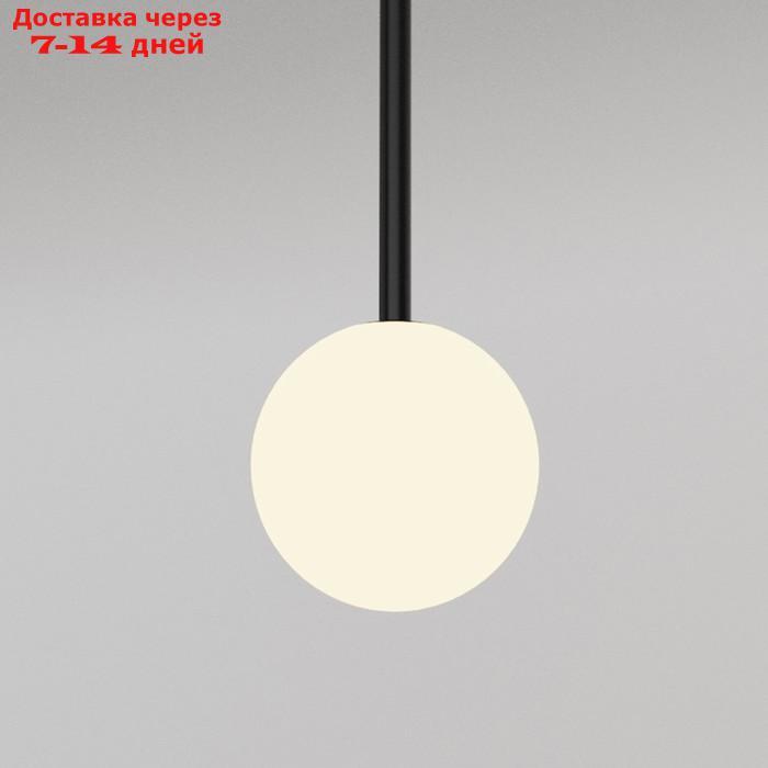 Светильник подвесной Mantra Cellar, G4, 1х5Вт, 300 мм, цвет чёрный - фото 3 - id-p226868943