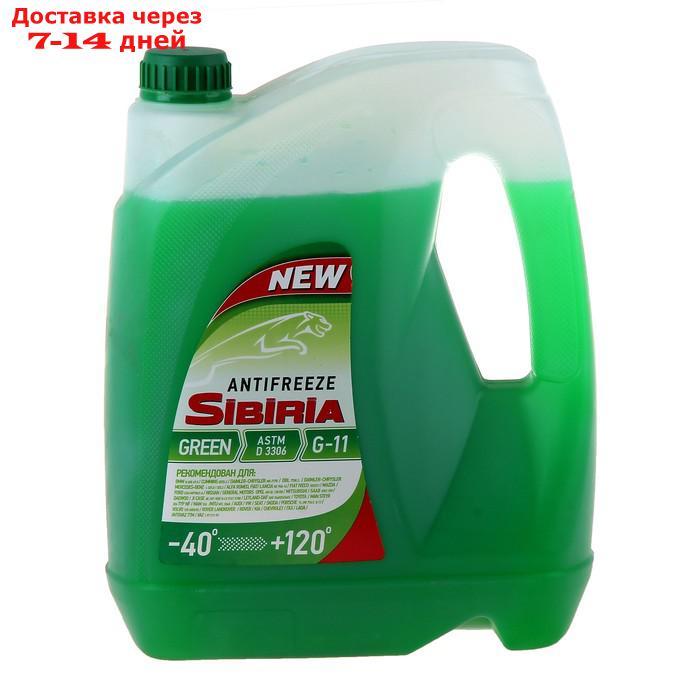 Антифриз SIBIRIA -40 G11 зелёный, 5 кг - фото 1 - id-p226873050