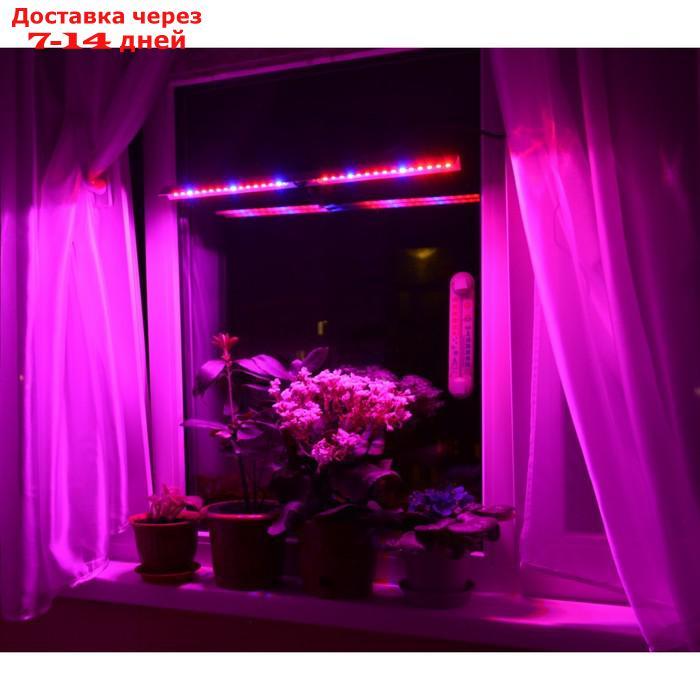Светильник на присоске для растений (рассады, цветов и др.) на подоконнике "Шедар" 80см - фото 6 - id-p226898366