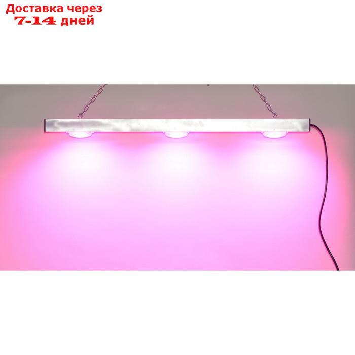 Диодный светильник для теплиц и домашних хозяйств "Процион" мощностью 60 Вт - фото 1 - id-p226898373