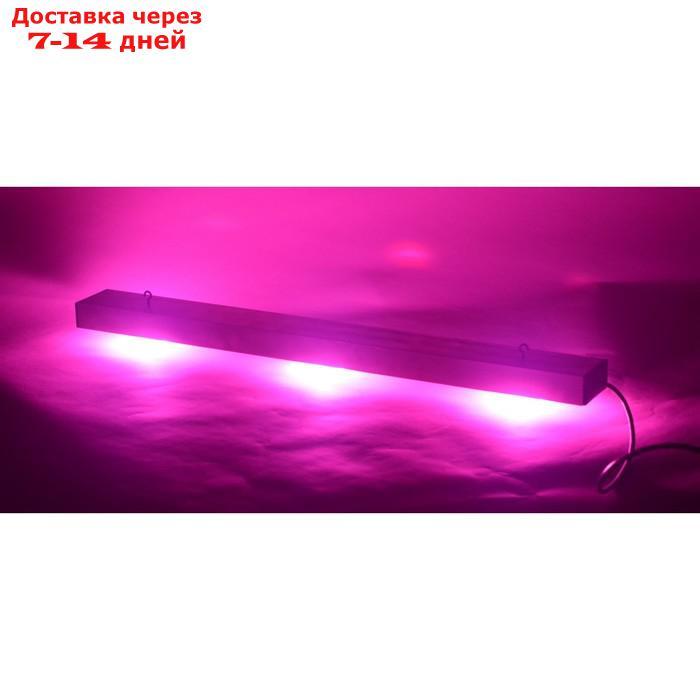 Диодный светильник для теплиц и домашних хозяйств "Процион" мощностью 60 Вт - фото 2 - id-p226898373