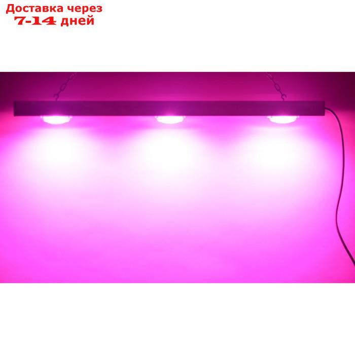 Диодный светильник для теплиц и домашних хозяйств "Процион" мощностью 60 Вт - фото 4 - id-p226898373