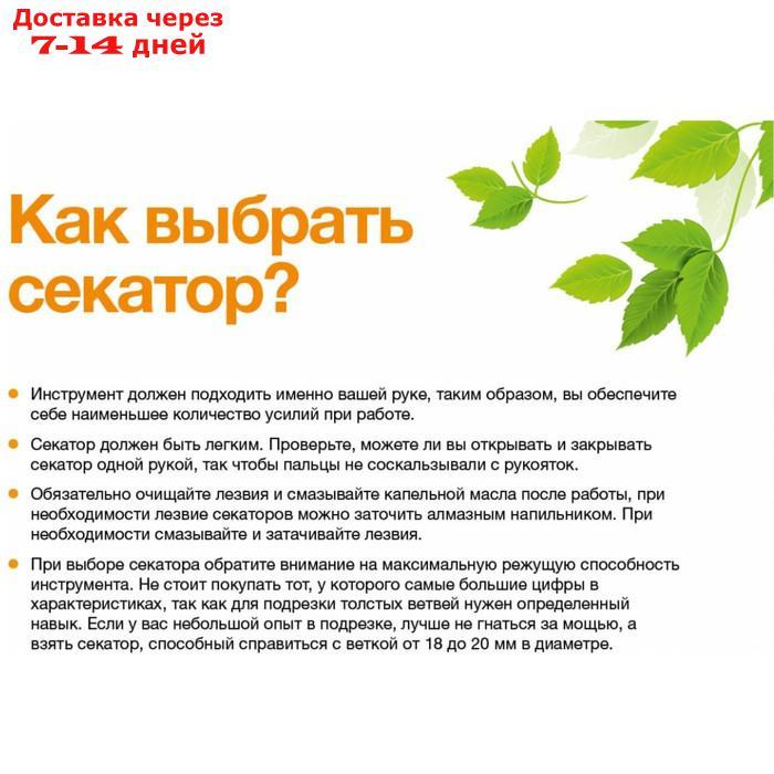 Секатор плоскостной металлический FISKARS Solid P331 (1057163), 25,5х5,3х2,6 см - фото 2 - id-p226907113