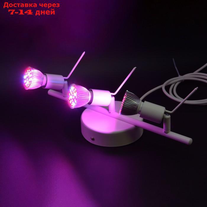 Настенный светодиодный светильник для досветки растений "Талита" 30Вт - фото 6 - id-p226898681