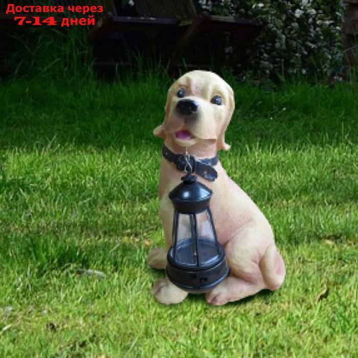 Светильник садовый "Собака" 31х29.2х11.4 тепл. бел. на солнечн. батарее аккум. AA NI-MH - фото 1 - id-p226874406