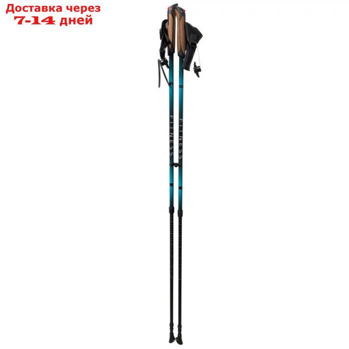 Палки для скандинавской ходьбы Tramp Fitness TRR-011, синий - фото 1 - id-p226868539