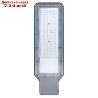 Светильник уличный Feron SP3022, IP65, LED, 100 Вт, 138,8х455х63 мм, цвет серый