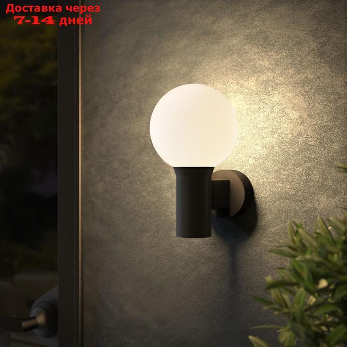 Светильник уличный настенный со стеклянным плафоном Elektrostandard, Sfera, 170х120х219 мм, E14, цвет чёрный - фото 2 - id-p226916050