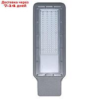 Светильник уличный Feron SP3021, IP65, LED, 50 Вт, 127,9х411,5х63 мм, цвет серый