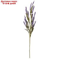Искусственный цветок "Эремурус полевой", высота 80 см, цвет фиолетовый