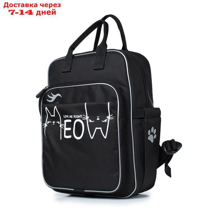 Рюкзак школьный, синтетическая ткань, 300x390x115 см, ЧЕРНЫЙ - фото 1 - id-p226934866