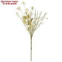 Искусственный цветок "Ромашка луговая", высота 60 см, цвет белый