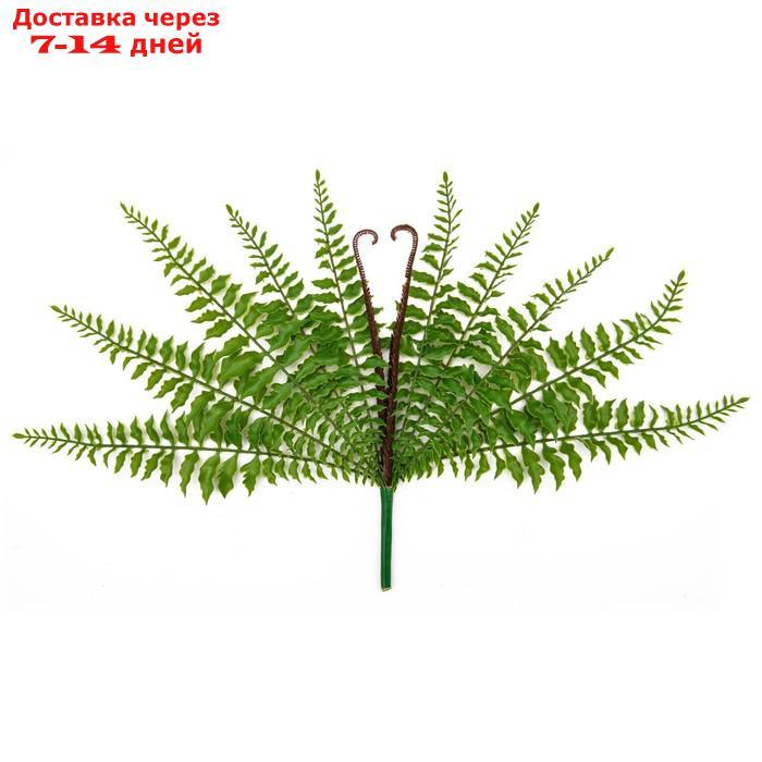 Искусственное растение "Папоротник нефролепис", высота 43 см - фото 1 - id-p226928068