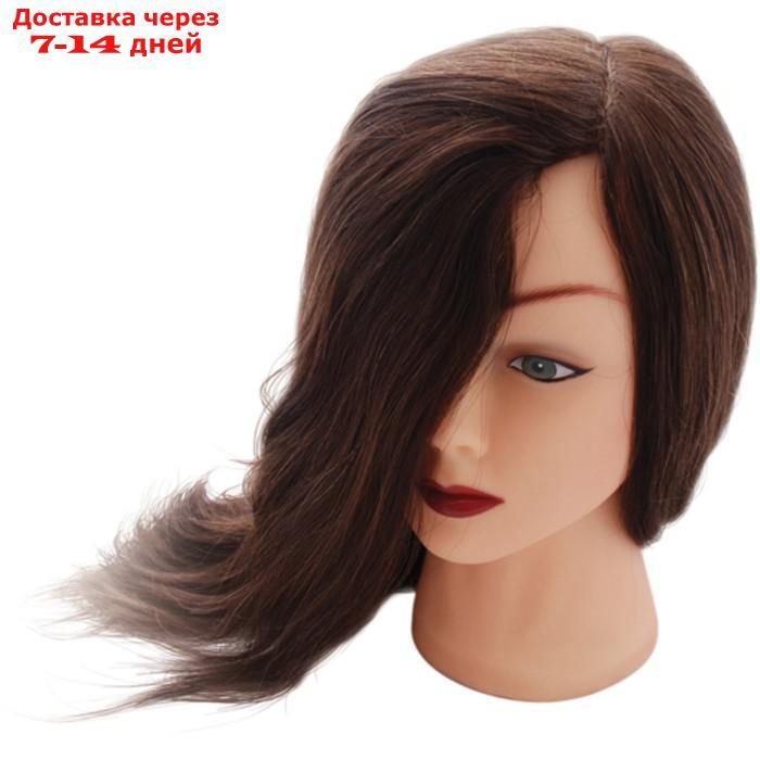 Голова учебная Ollin Professional "Шатен", длина волос 60 см, 50%+50% - фото 1 - id-p226923350