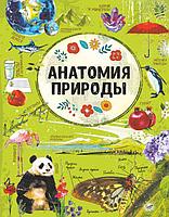 Книга Анатомия природы