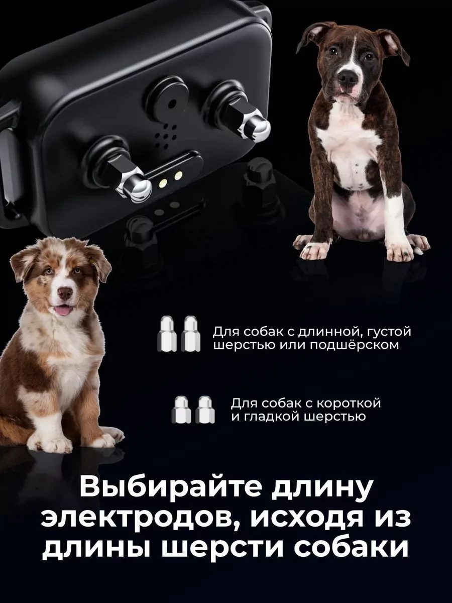 Электронный ошейник антилай для собак - фото 7 - id-p227244457