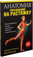 Книга Попурри Анатомия упражнений на растяжку