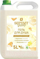 Гель для душа Septivit Frutsy Ванильный пломбир