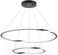 Потолочный светильник Arte Lamp Veritate A2211SP-2BK