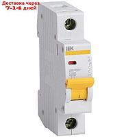 Выключатель автоматический IEK, однополюсный, C 100 А, ВА 47-100, 10кА, MVA40-1-100-C