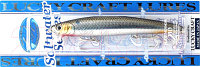Воблер Lucky Craft SW FlashMinnow 110 Anchovy SW-FM110-357ACVN