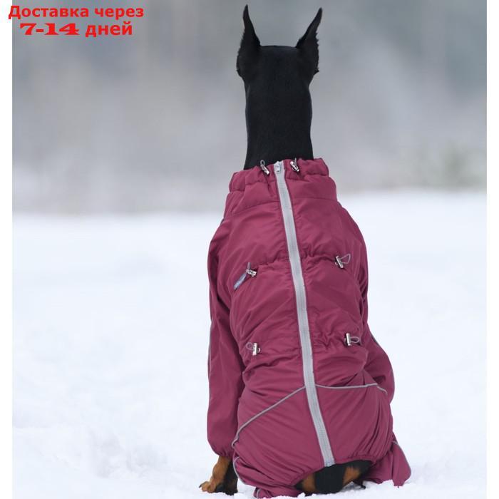Комбинезон для собак (сука), утепленный флисовый, р. 65-2 (ДС 65 см, ОШ 76 см, ОГ 110 см), бордо 1 - фото 2 - id-p226970338
