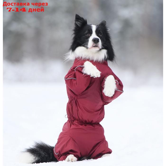 Комбинезон для собак (сука), утепленный флисовый, р. 65-2 (ДС 65 см, ОШ 76 см, ОГ 110 см), бордо 1 - фото 3 - id-p226970338
