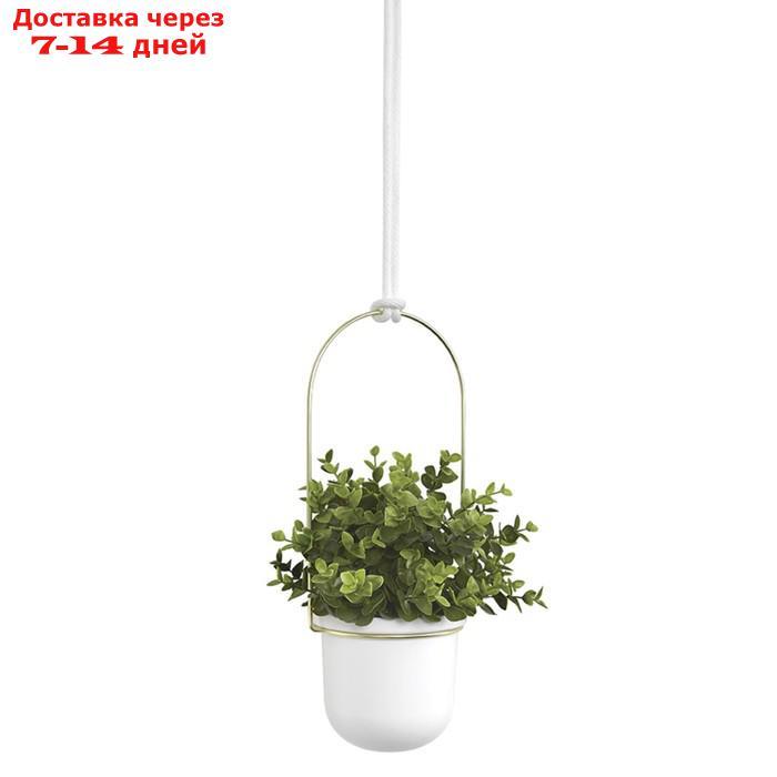 Набор подвесных горшков для растений triflora, белый-латунь, 3 шт. - фото 3 - id-p226978367